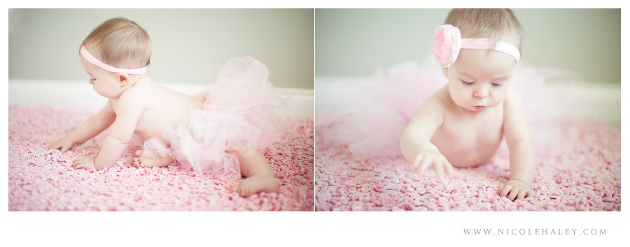 nicole haley photography _ ava11 nicole haley photography, ann arbor baby photography, baby in pink tutu