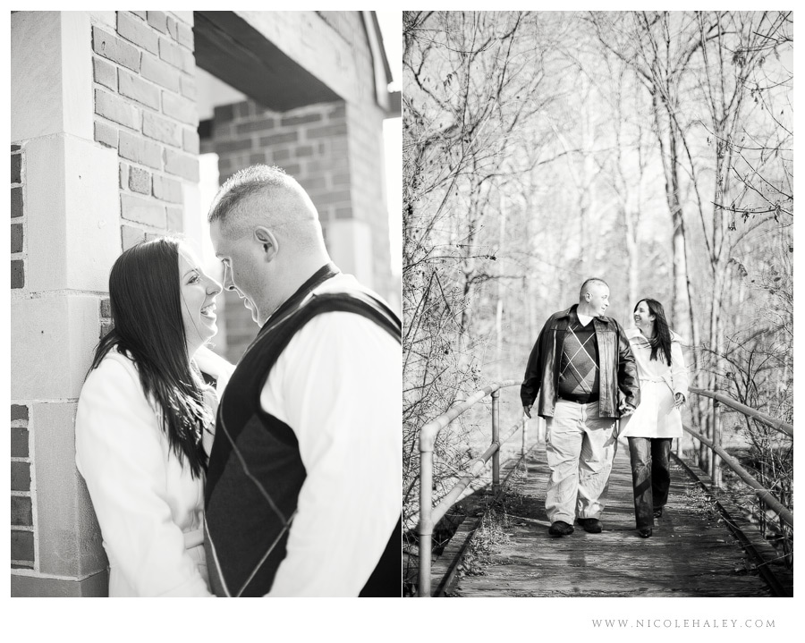 nicole haley photography, fall engagement in michigan