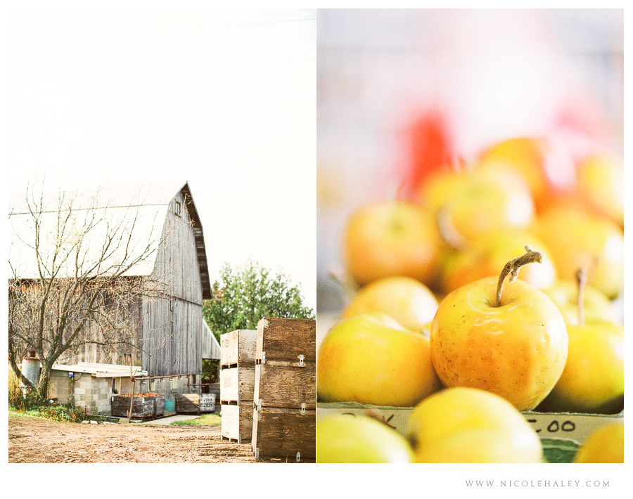 nicole haley photography, christmas cove farm, fall on leelanau, film photography