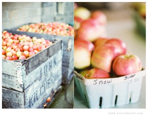 nicole haley photography - leelanau peninsula 12 nicole haley photography - leelanau peninsula 12