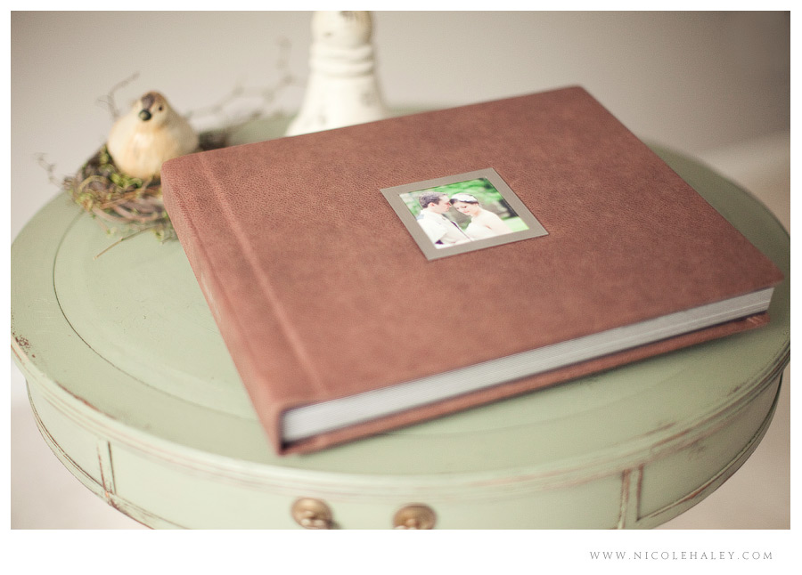 michigan wedding photographer, nicole haley photography