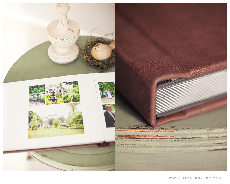 michigan wedding photographer, nicole haley photography