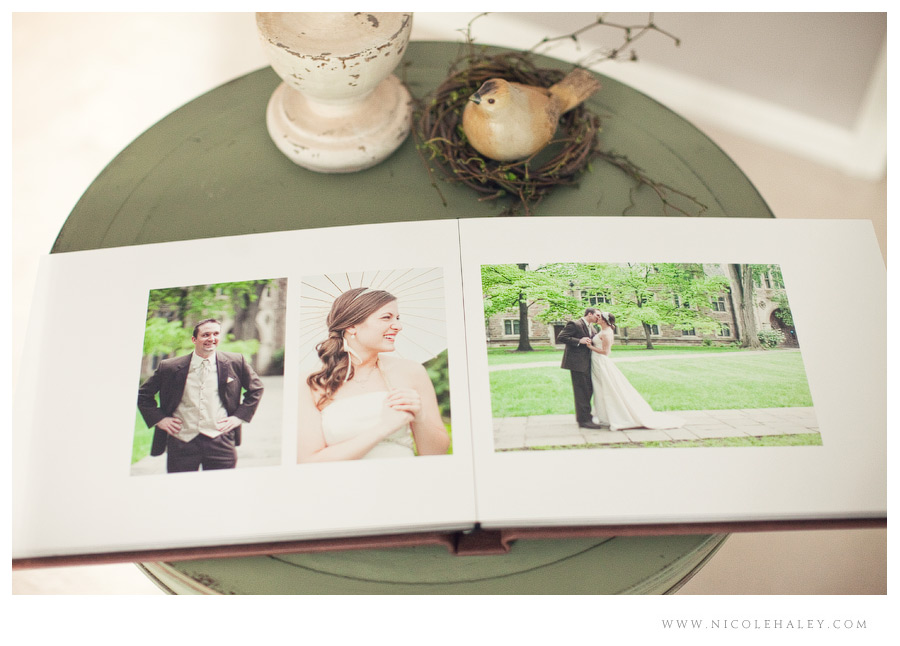michigan wedding photographer, nicole haley photography