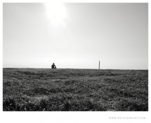 nicole haley photography, max patch, appalachian trail