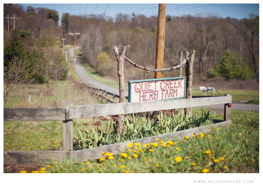 Quiet Creek Herb Farm - Nicole Haley Photography