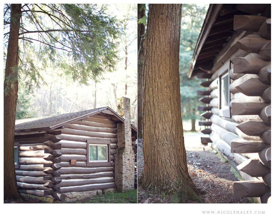 Pennsylvania Cabin, Nicole Haley Photography