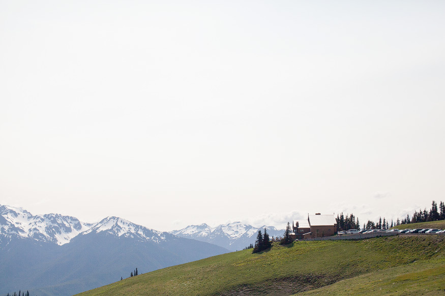 Seattle Photography, Hurricane Ridge in Olympic National Park