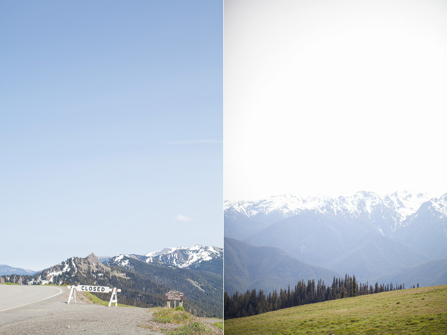 Seattle Photography, Hurricane Ridge in Olympic National Park