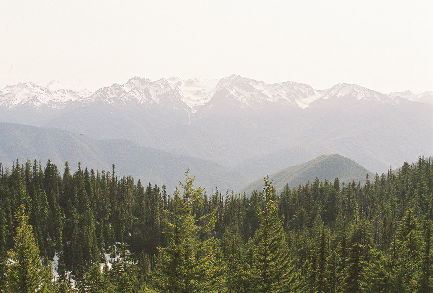 Seattle Photography 16 Seattle Photography, Hurricane Ridge in Olympic National Park.