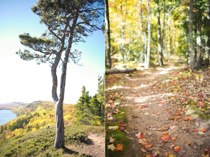 porcupine mountains state park - nicole haley photography - lake of the clouds - escarpment trail