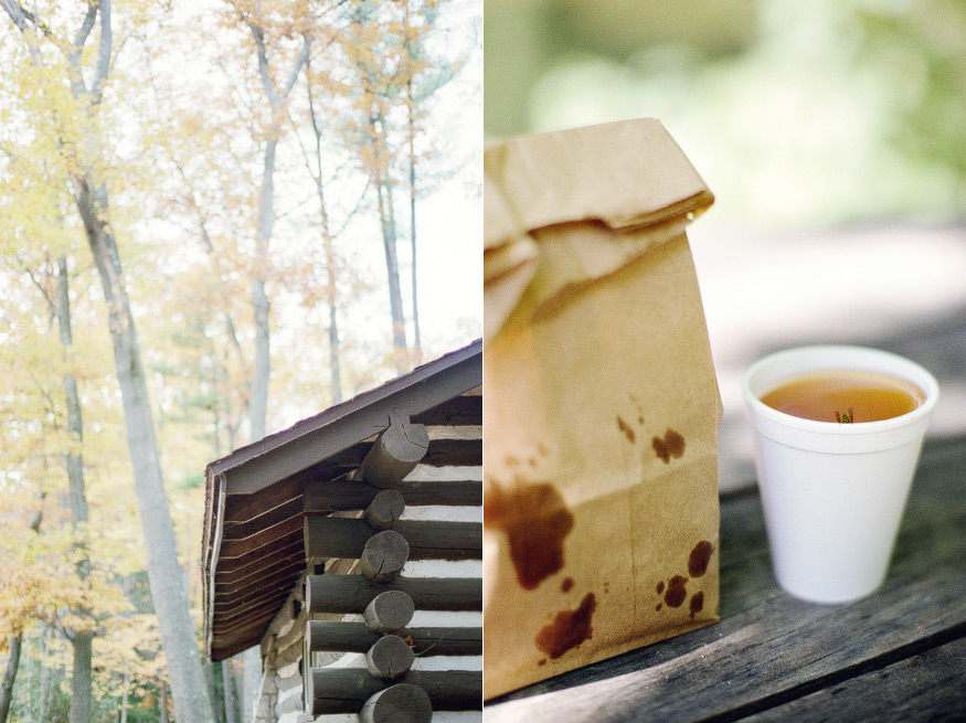 nicole haley photography - bee in cider nicole haley photography - bee in cider