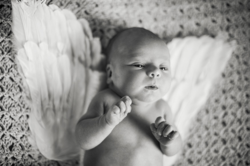 Ann Arbor Portrait Photographer - www.nicolehaley.com