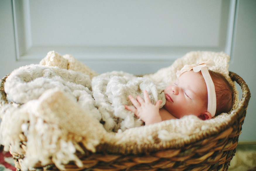 Newborn Photos | Ann Arbor Newborn Photography