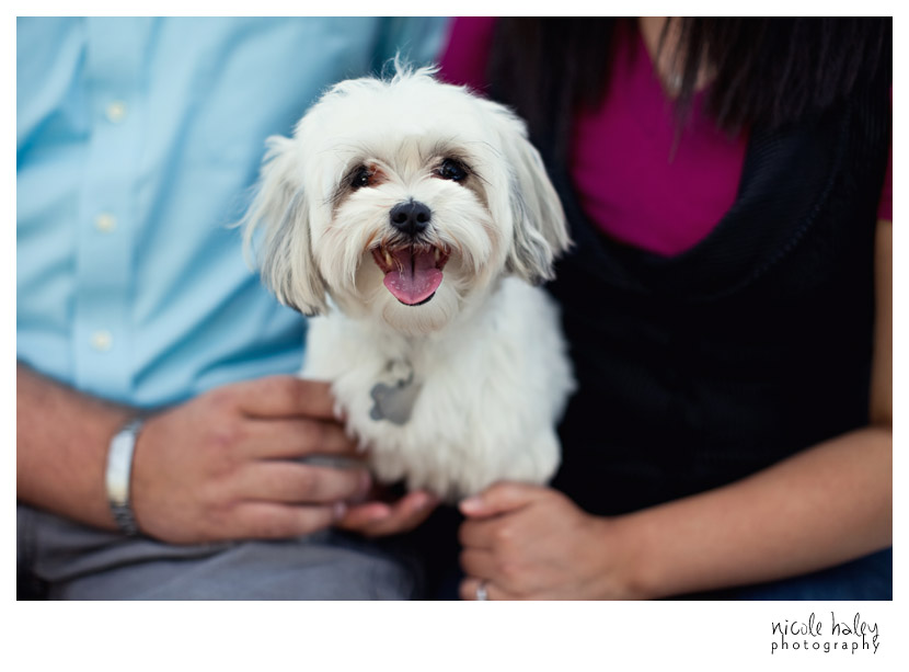 East Lansing Engagement Photos, MSU Gardens