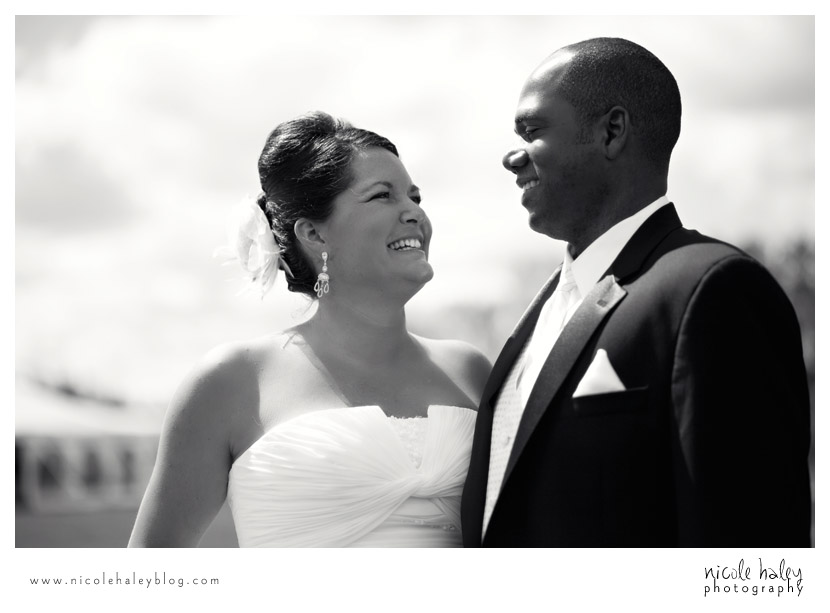 Liz and Stephen's Wedding, Willow Harbor Vineyard, Three Oaks; Nicole Haley Photography; Ann Arbor, Michigan Wedding Photography