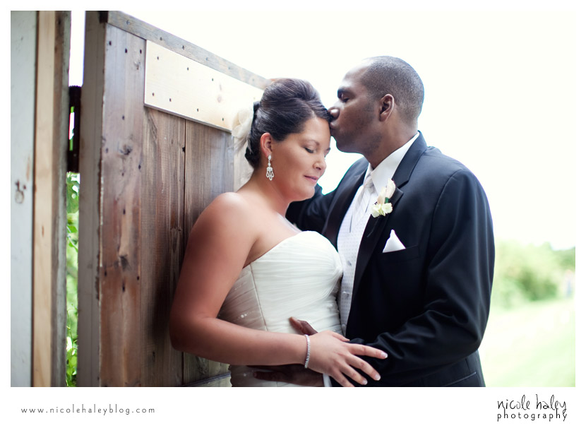 Liz and Stephen's Wedding, Willow Harbor Vineyard, Three Oaks; Nicole Haley Photography; Ann Arbor, Michigan Wedding Photography