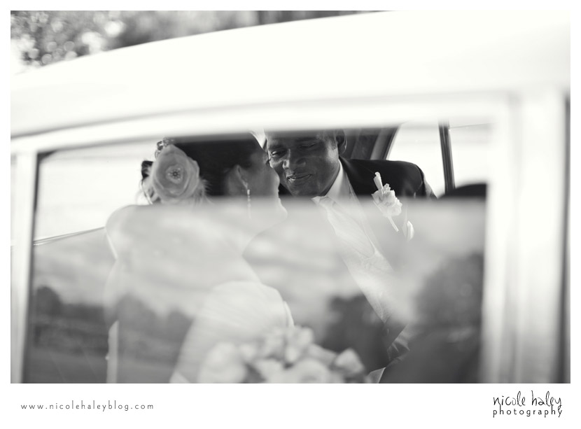 Liz and Stephen's Wedding, Willow Harbor Vineyard, Three Oaks; Nicole Haley Photography; Ann Arbor, Michigan Wedding Photography