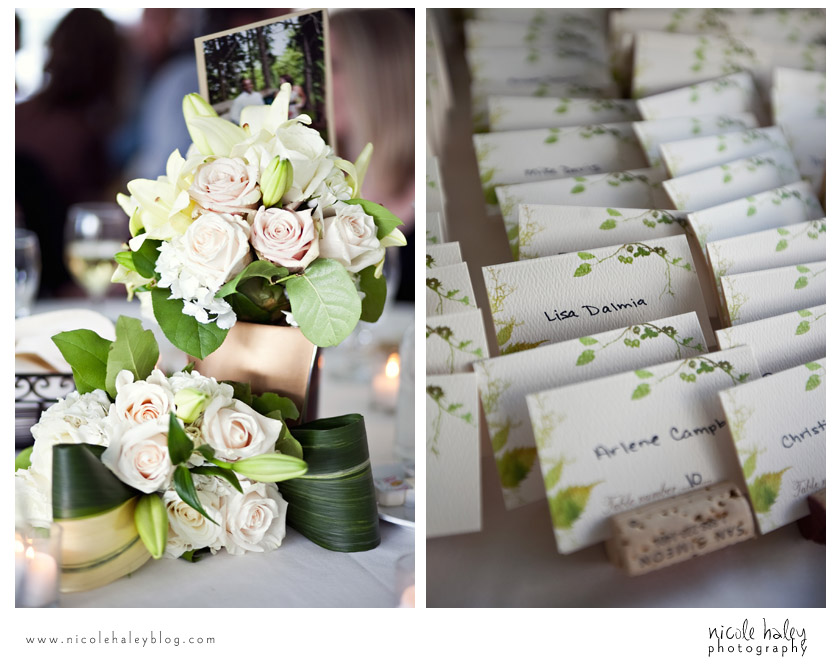 Liz and Stephen's Wedding, Willow Harbor Vineyard, Three Oaks; Nicole Haley Photography; Ann Arbor, Michigan Wedding Photography