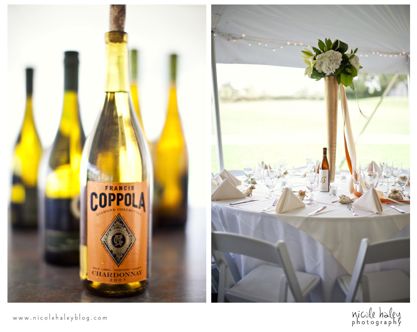 Liz and Stephen's Wedding, Willow Harbor Vineyard, Three Oaks; Nicole Haley Photography; Ann Arbor, Michigan Wedding Photography