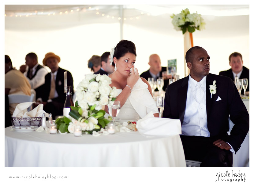 Liz and Stephen's Wedding, Willow Harbor Vineyard, Three Oaks; Nicole Haley Photography; Ann Arbor, Michigan Wedding Photography