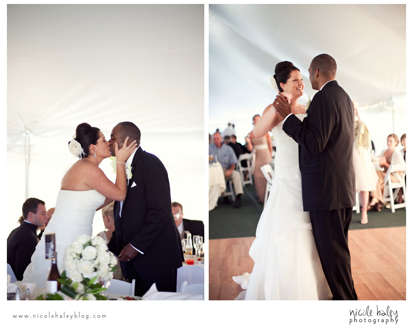Liz and Stephen's Wedding, Willow Harbor Vineyard, Three Oaks; Nicole Haley Photography; Ann Arbor, Michigan Wedding Photography