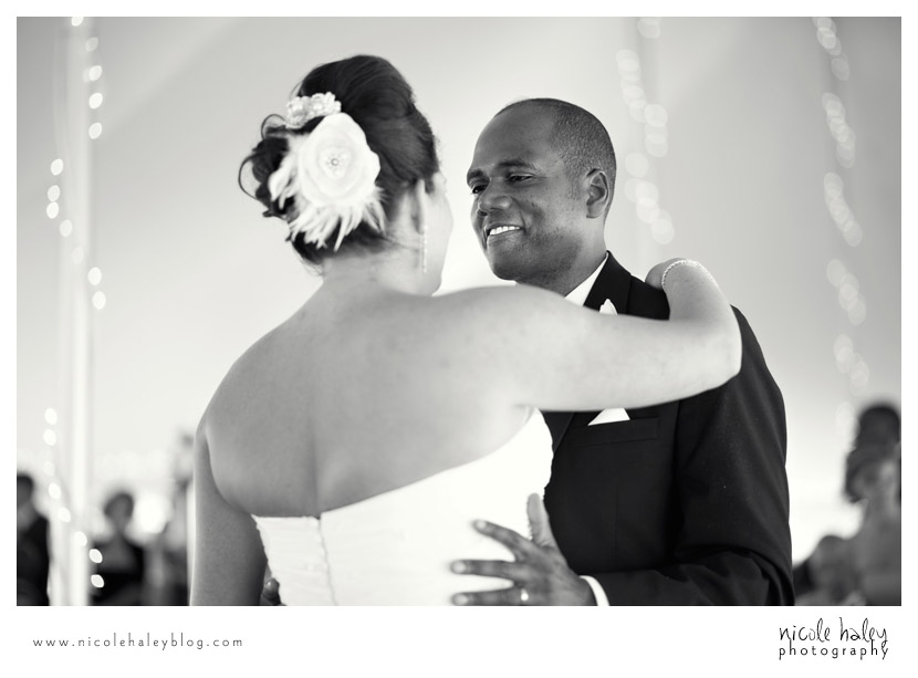 Liz and Stephen's Wedding, Willow Harbor Vineyard, Three Oaks; Nicole Haley Photography; Ann Arbor, Michigan Wedding Photography