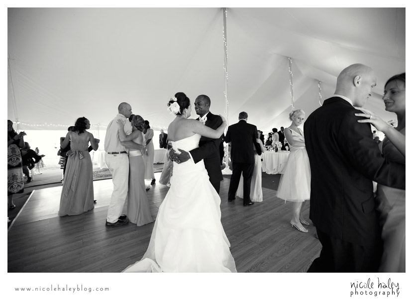 Liz and Stephen's Wedding, Willow Harbor Vineyard, Three Oaks; Nicole Haley Photography; Ann Arbor, Michigan Wedding Photography