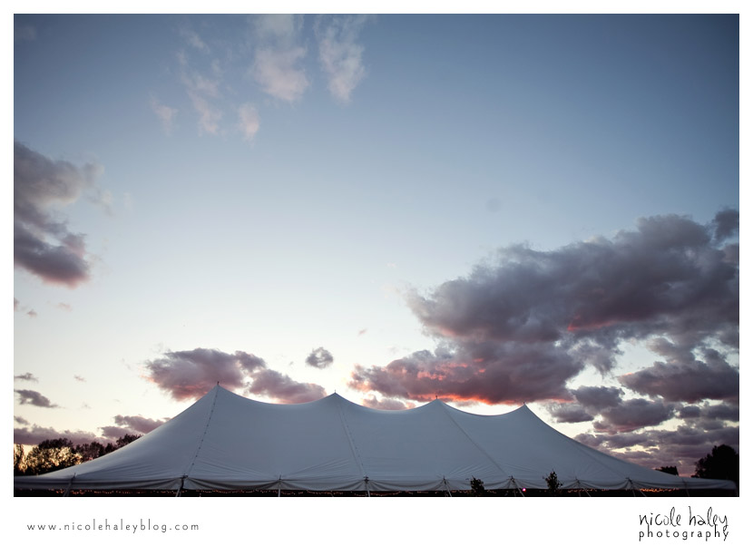Liz and Stephen's Wedding, Willow Harbor Vineyard, Three Oaks; Nicole Haley Photography; Ann Arbor, Michigan Wedding Photography