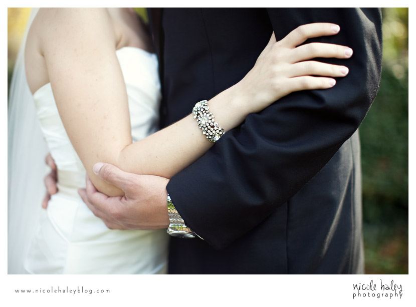 nicole haley photography, francis park, catie and darnell, lansing, michigan wedding photography