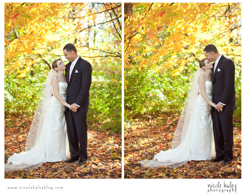 nicole haley photography, francis park, catie and darnell, lansing, michigan wedding photography, fall colors