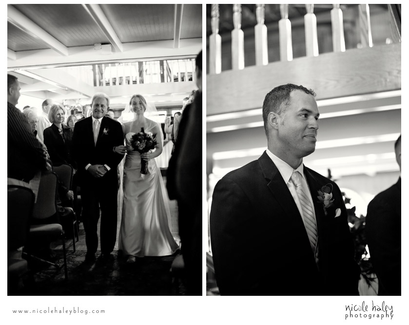 nicole haley photography, catie and darnell, lansing, michigan wedding photography, michigan princess riverboat
