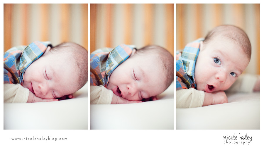 nicole haley photography | michigan portrait photography