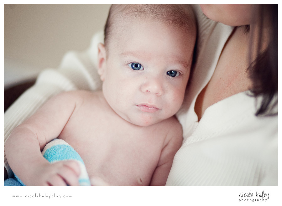 nicole haley photography | michigan portrait photography