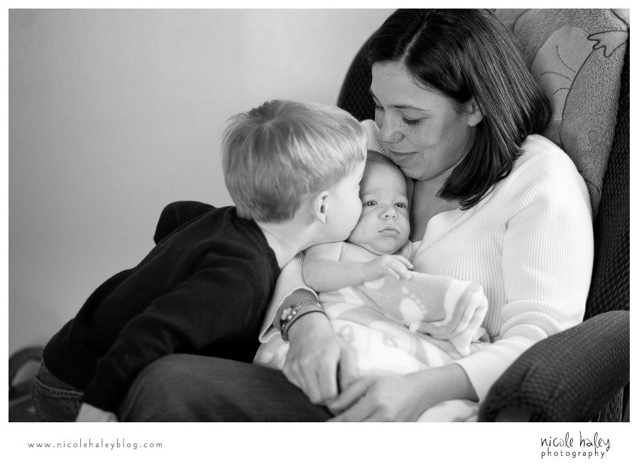 nicole haley photography | michigan portrait photography