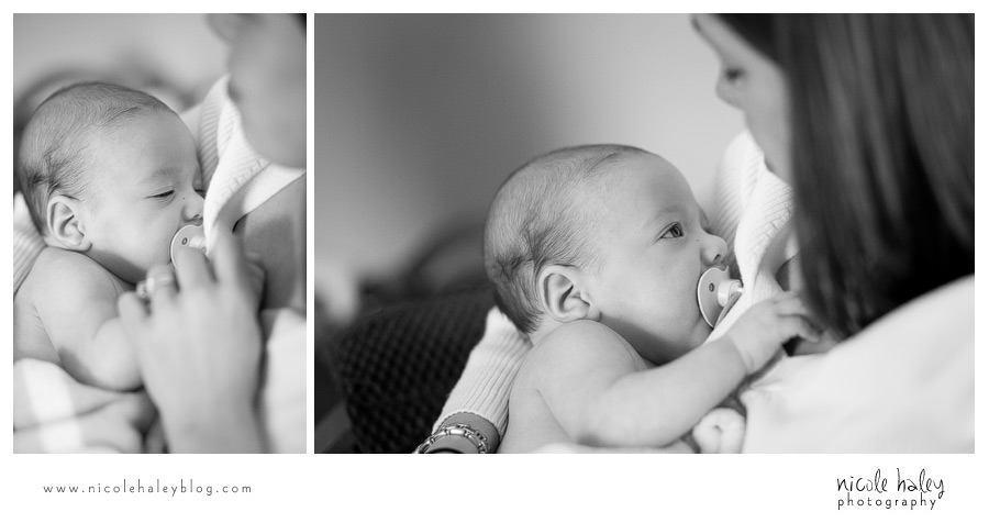 nicole haley photography | michigan portrait photography