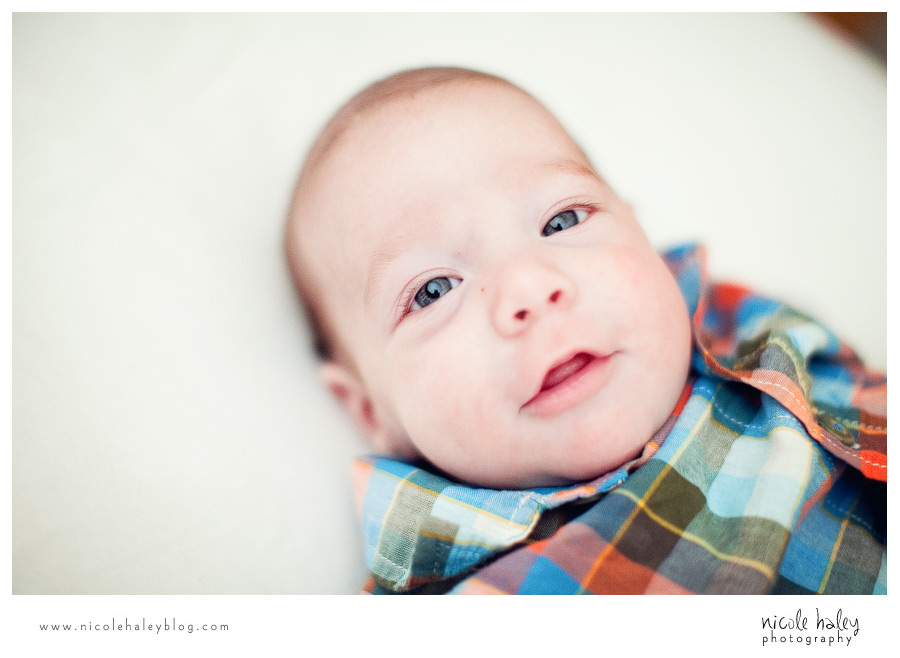 nicole haley photography | michigan portrait photography