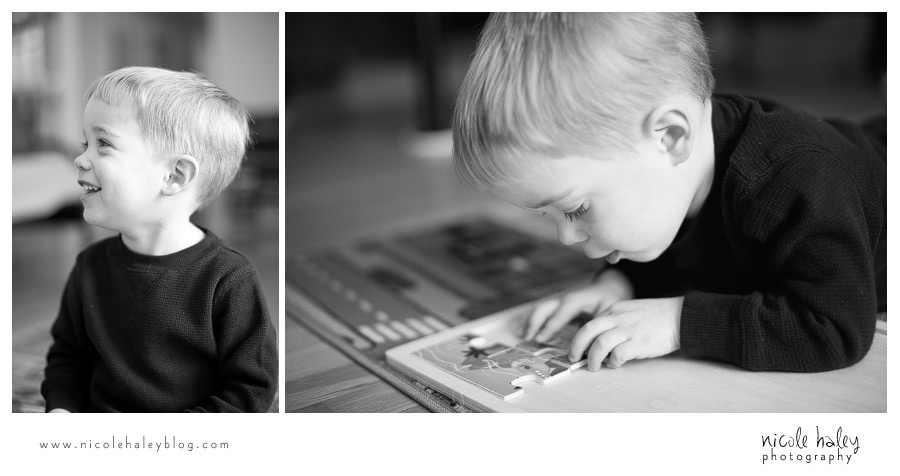 nicole haley photography | michigan portrait photography