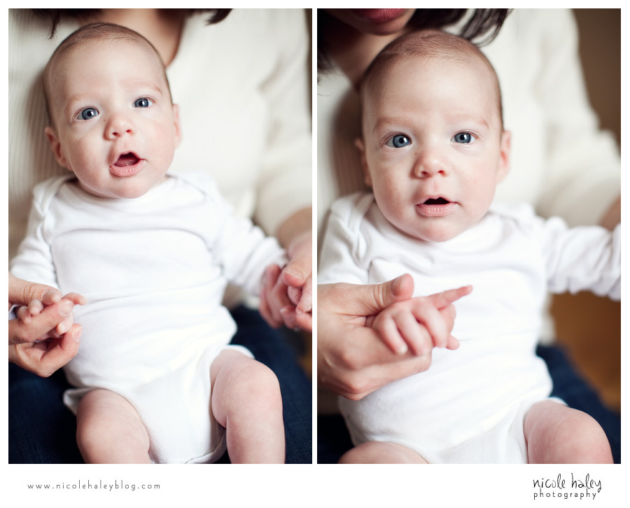 nicole haley photography | michigan portrait photography
