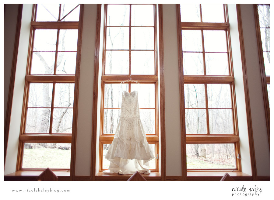 nicole haley photography, michigan wedding photography, ann arbor wedding photography