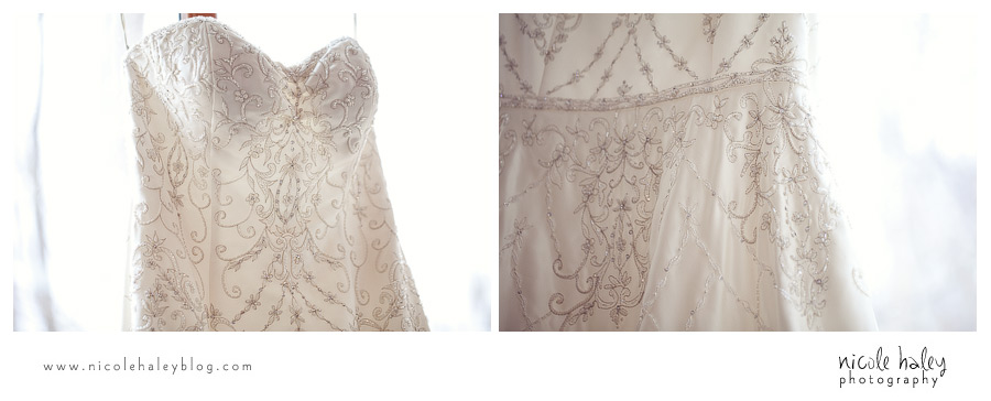 nicole haley photography, michigan wedding photography, ann arbor wedding photography