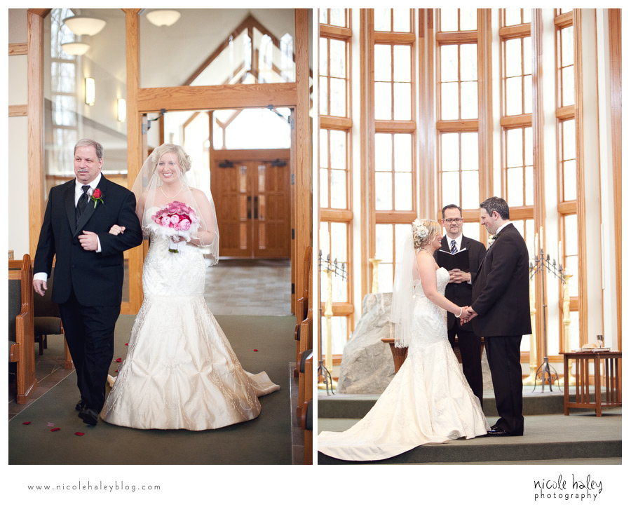 nicole haley photography, michigan wedding photography, ann arbor wedding photography