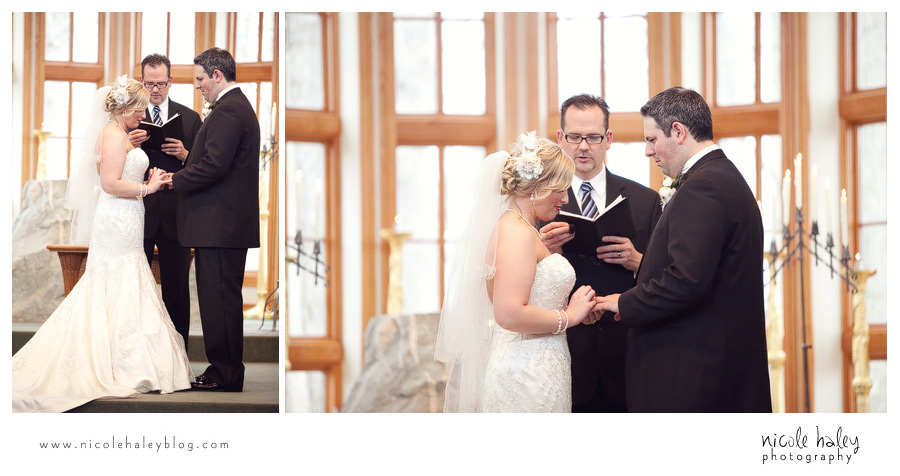 nicole haley photography, michigan wedding photography, ann arbor wedding photography