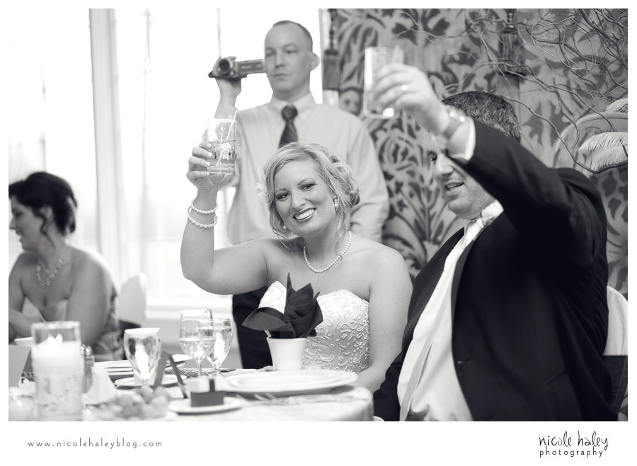 nicole haley photography, michigan wedding photography, ann arbor wedding photography