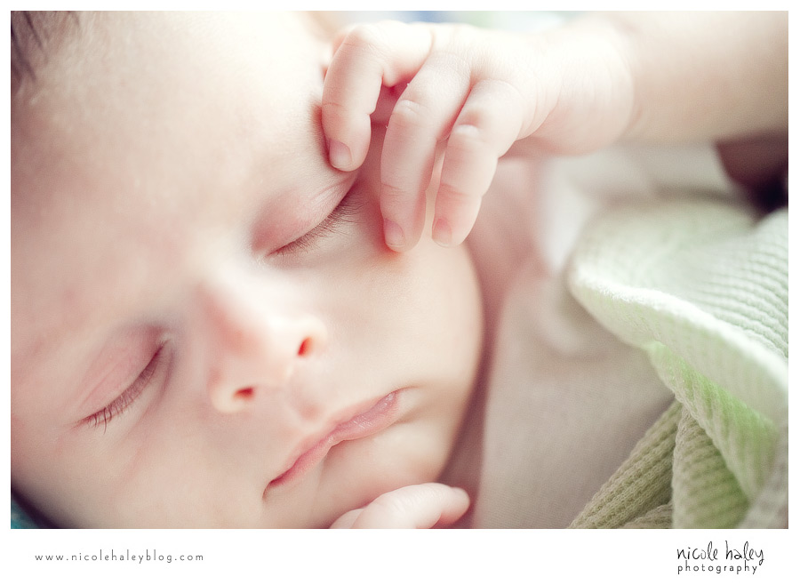 nicole haley photography, michigan child portrait photography
