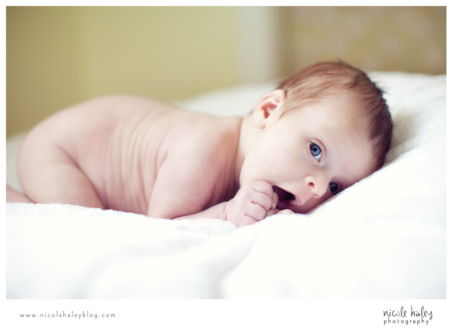 nicole haley photography, michigan child portrait photography