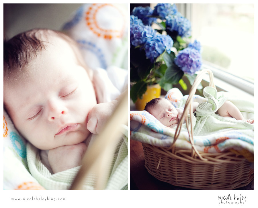 nicole haley photography, michigan child portrait photography
