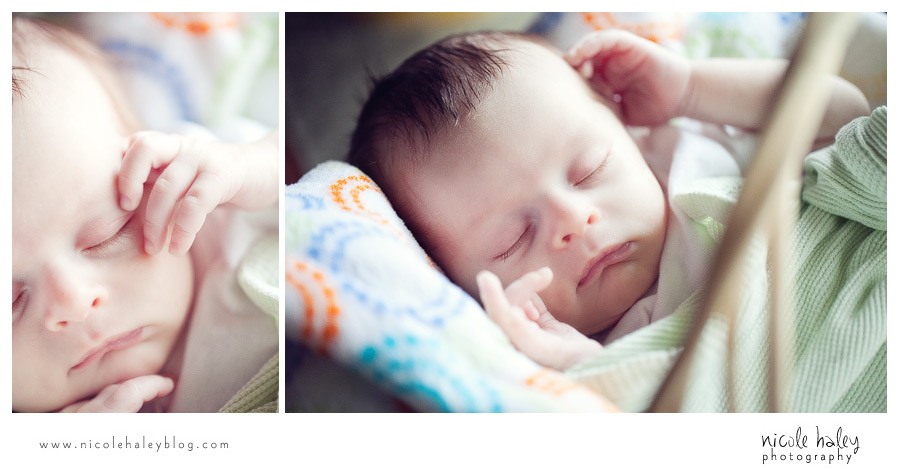 nicole haley photography, michigan child portrait photography