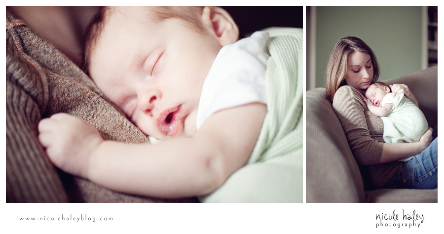 nicole haley photography, michigan child portrait photography