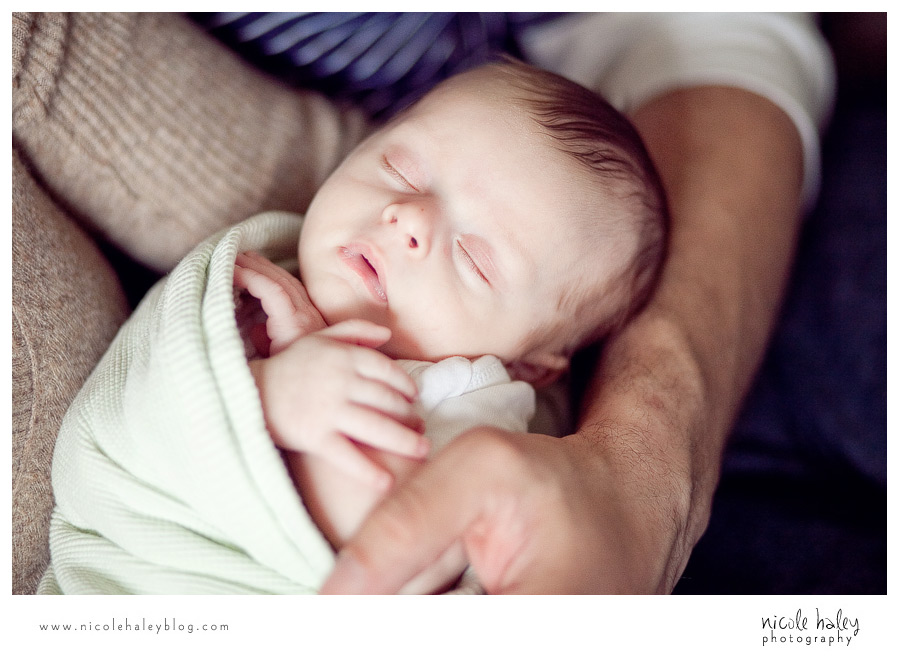 nicole haley photography, michigan child portrait photography