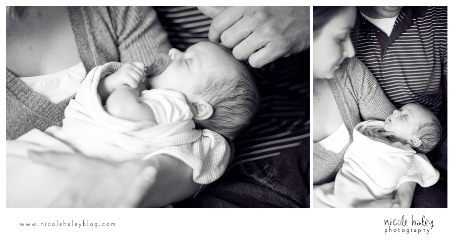 nicole haley photography, michigan child portrait photography